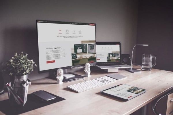 Raja Muhammad Ali - WordPress Developer