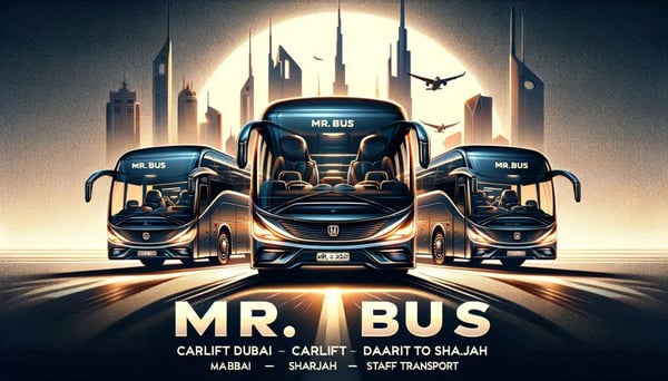 Mr Bus LLC