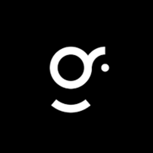 Goldenflitch - Pitch Deck Design Services