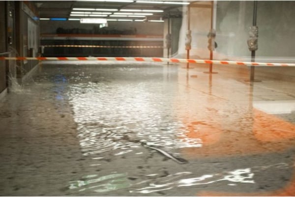 Water Damage Restoration in Portland: DIY vs. Professional Services