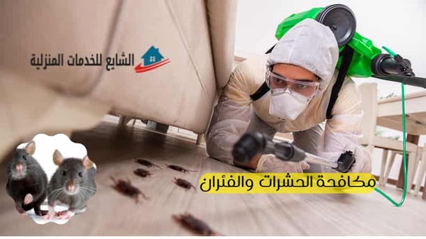 شركة الرحيق