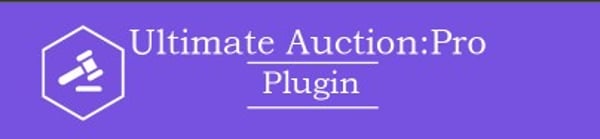 Ultimate Auction Pro