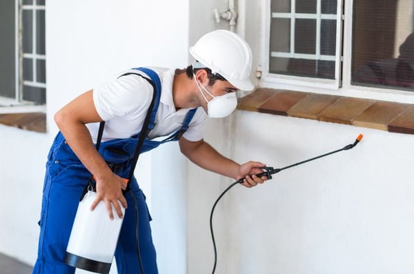 Magic's Pest Control Brisbane Inspections & Solutions