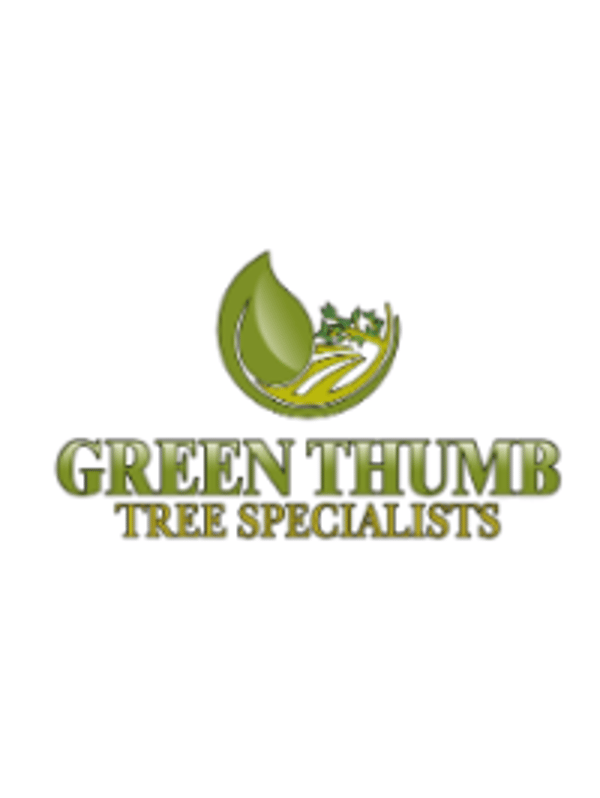 Green Thumb Tree Specialists