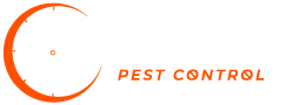 Same Day Pest Control