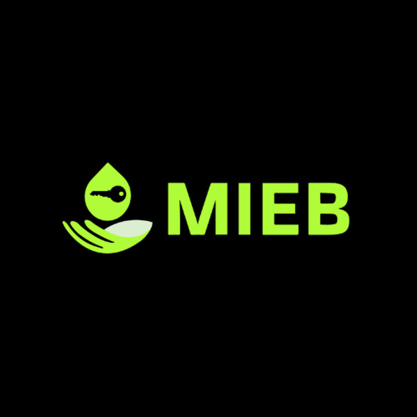 MIEB VPN