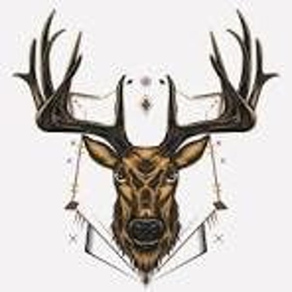Taxidermy Units
