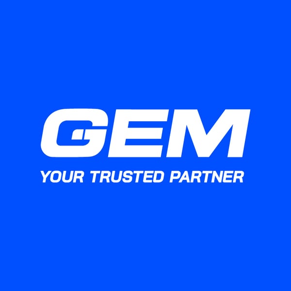 GEM - Professional IT Services and Consulting Company