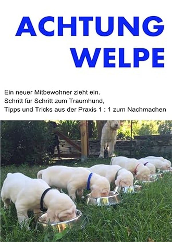 Ein Welpe zieht