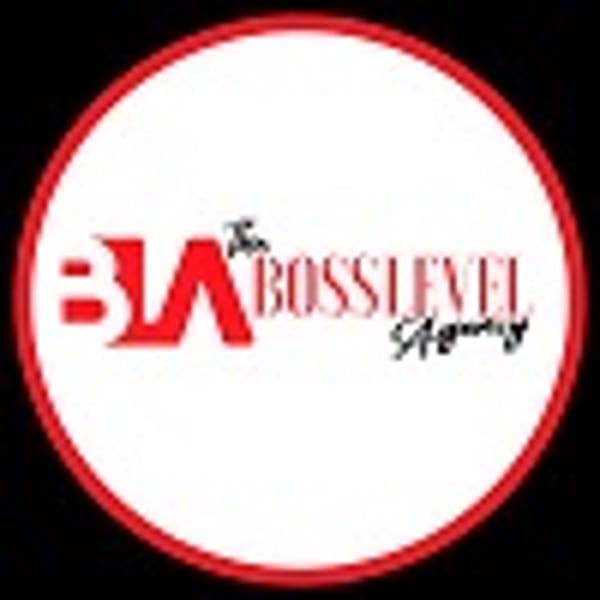The Boss Level Agency