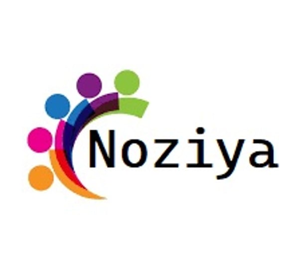 Noiya Furniture