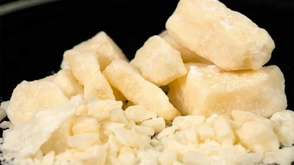 Cocaine Lovers