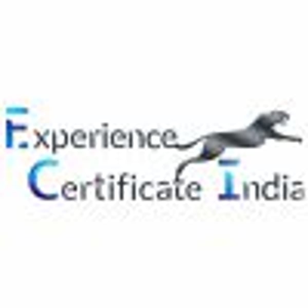 Best Experience Certificate Provider