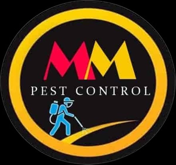 MM Pest Control - Anti Termite Treatment