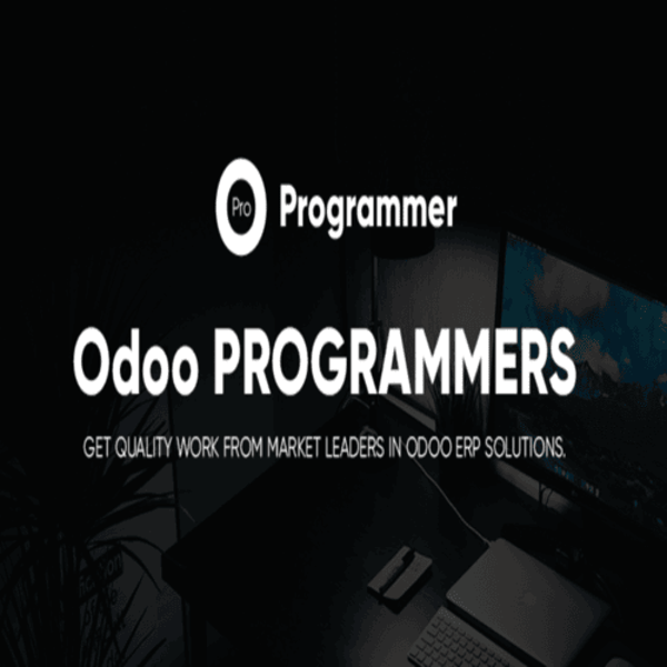 Odoo Programmer