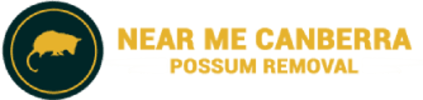 Near Me Canberra Possum Removal