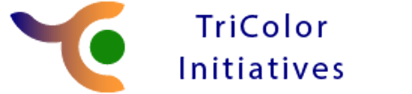 TCI IT Services