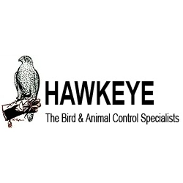 Hawkeye Bird & Animal Control