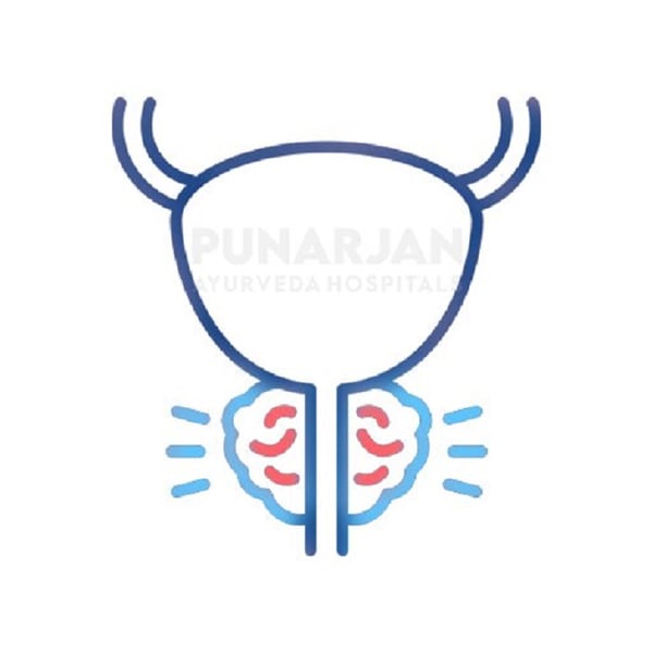 Punarjan Ayurveda Hospitals