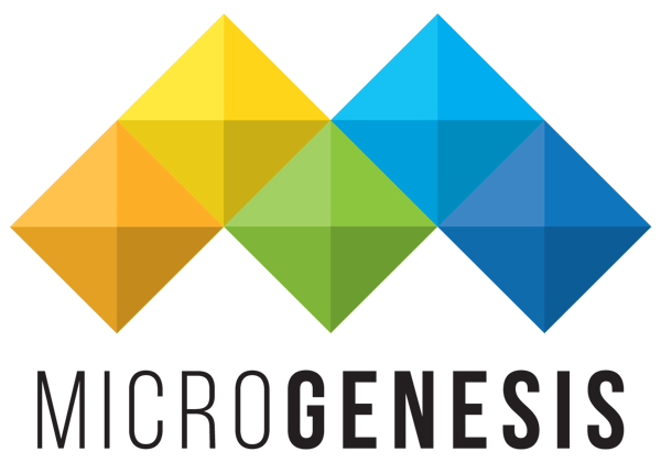 MicroGenesis TechSoft