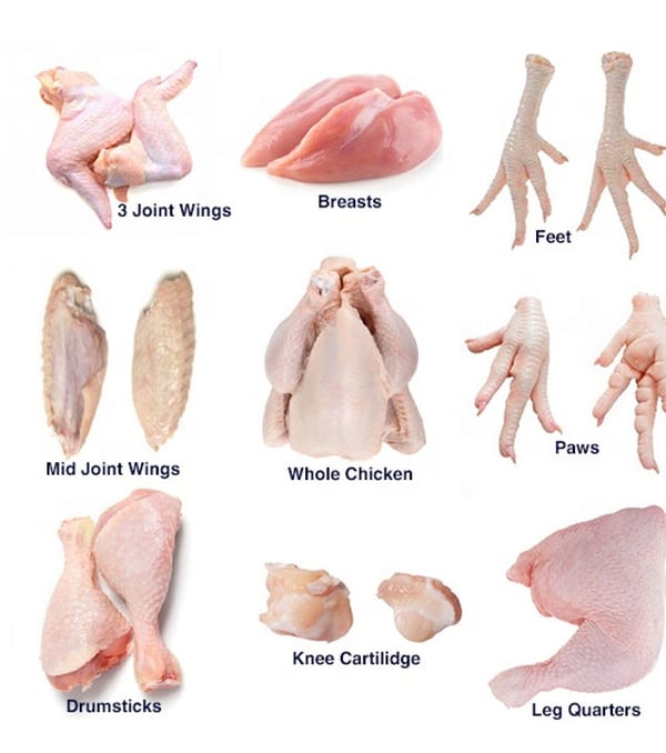 Premium Halal Poultry