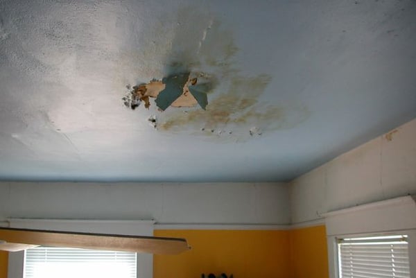 Essential Tips to Prevent Water Damage During Portland’s Fall