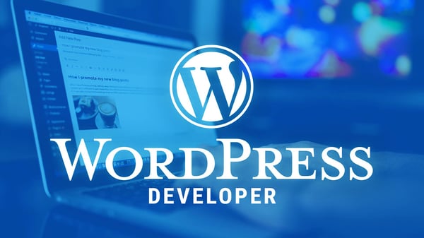 Raja Muhammad Ali - Freelance WordPress Developer