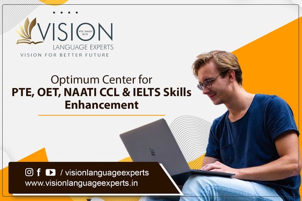 Vision Language Experts