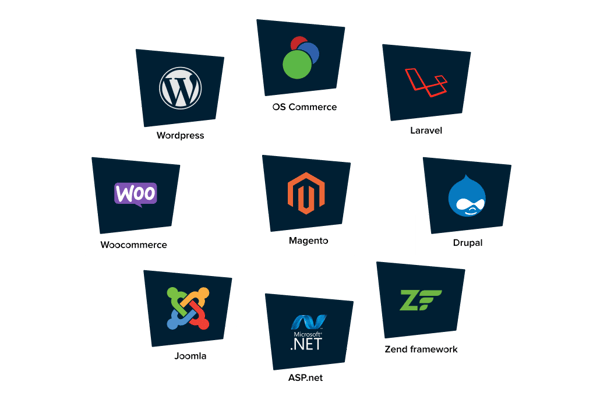 GO-Globe Web Design Oman