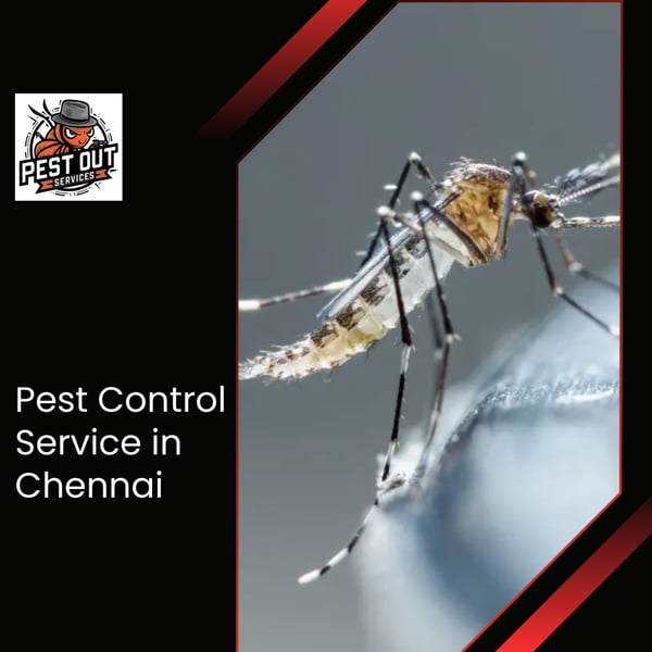 Pest Out Services