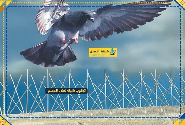 شركة الرحيق